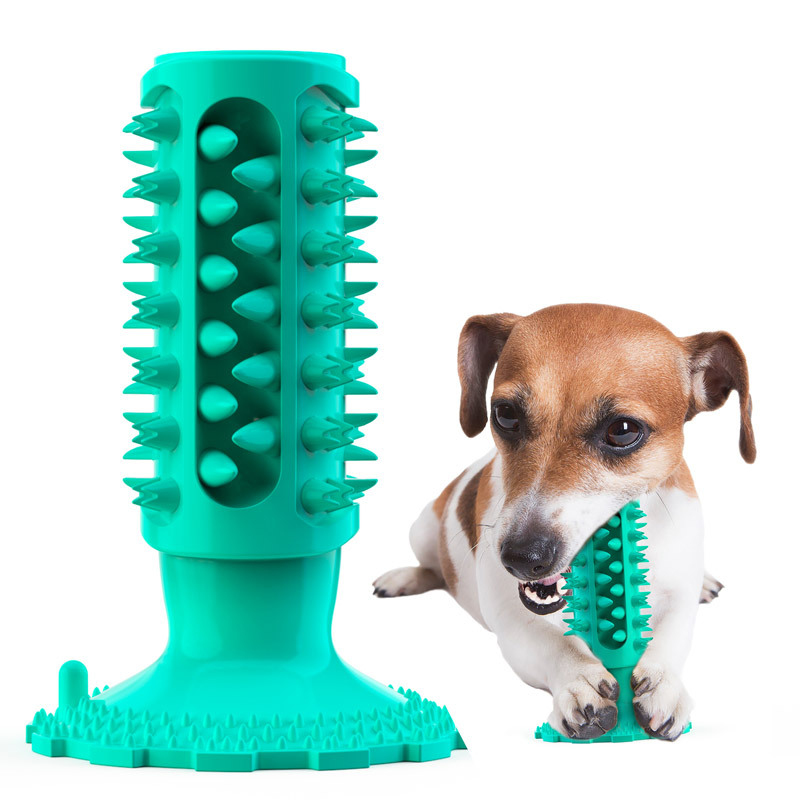 Pet Supplies In Amazon - Jouet pour chien avec ventouse, bâton