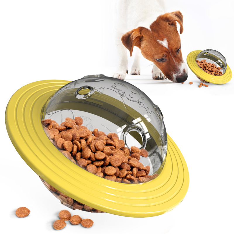 Pet Supplies In Amazon - Articles pour animaux de compagnie :