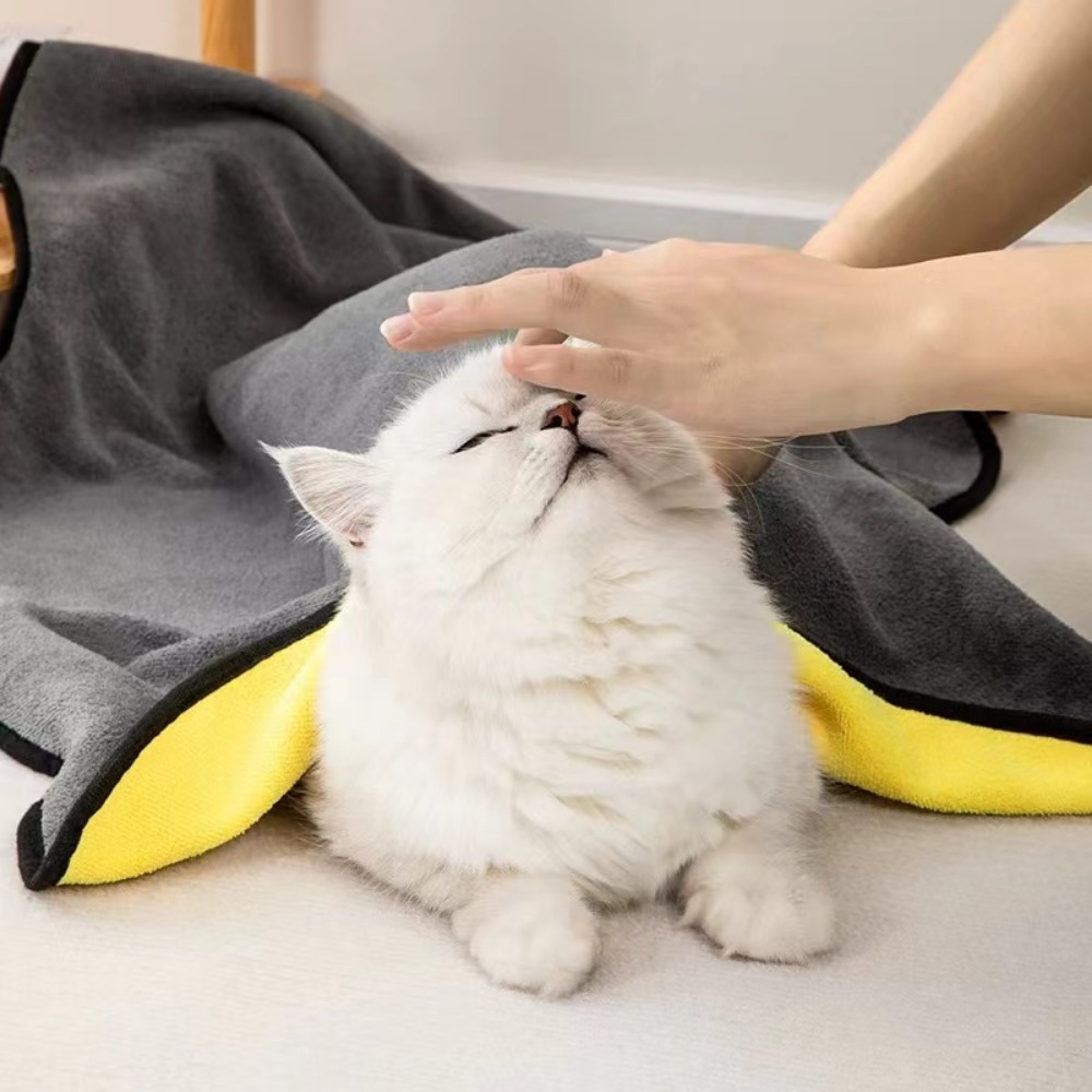 Pet Supplies Pet Shop - E5 accessoires pour chiens de compagnie