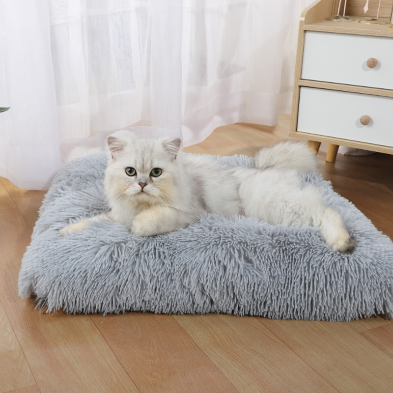 Pet Supplies In Amazon - Nouveau Tapis de Couchage pour Chien