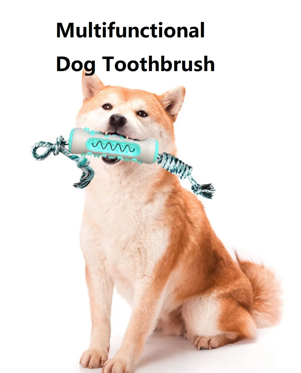 Pet Supplies In Amazon - Fournitures pour animaux de compagnie Amazon