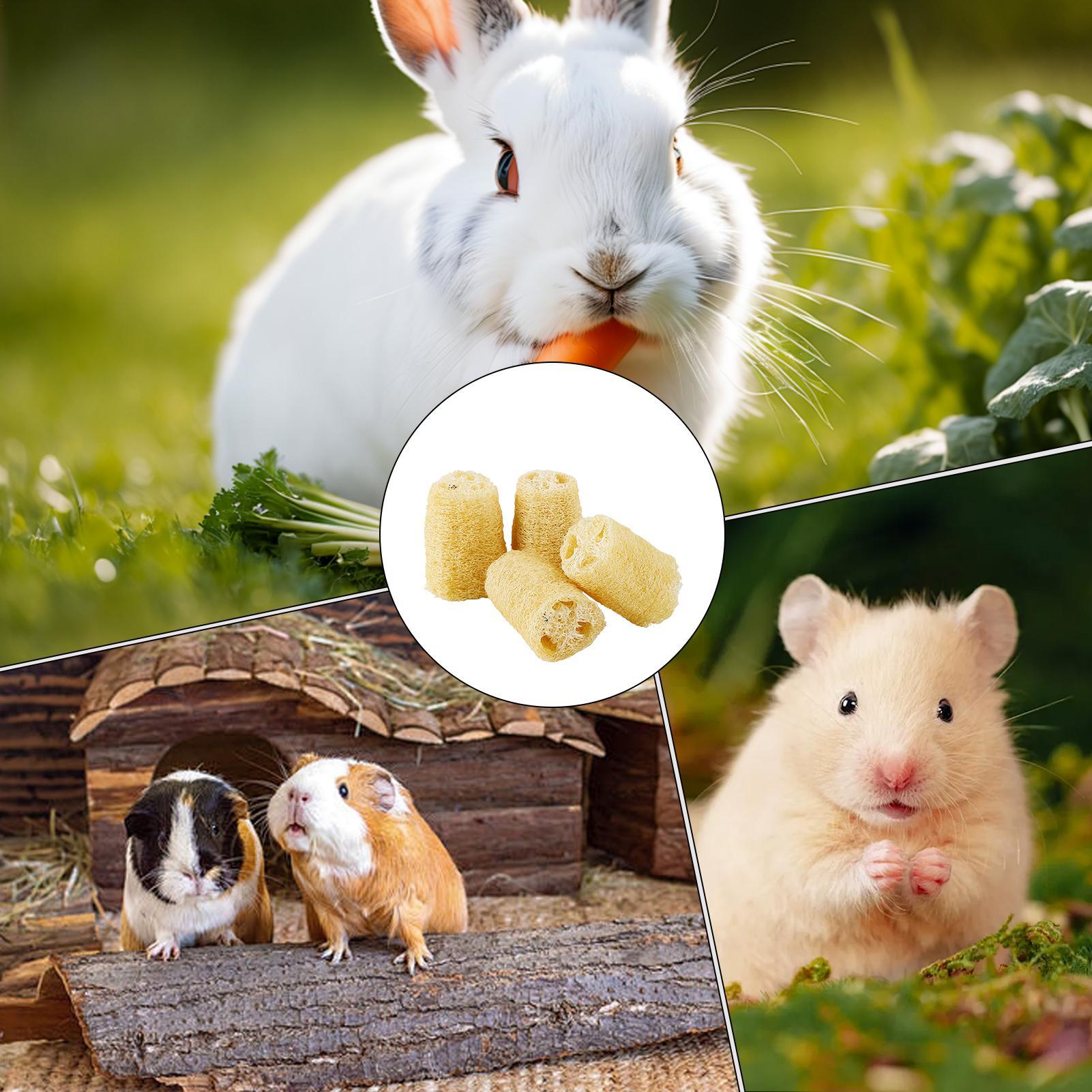 Pet Supplies Pet Shop - Jouets à mâcher pour lapins, 4