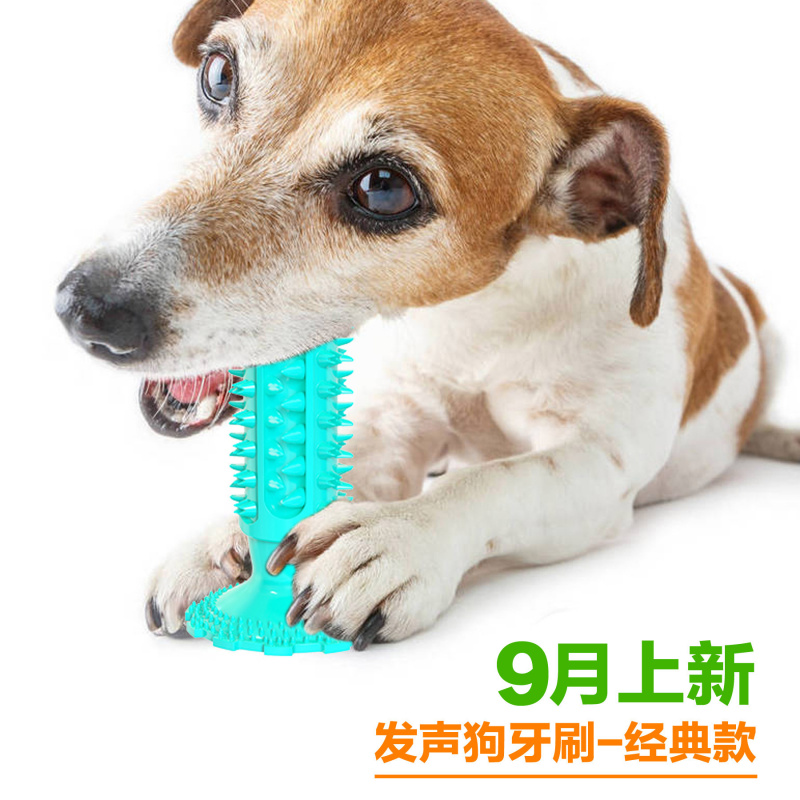 Jouet pour chien avec ventouse - Pet Supplies In Amazon avis et prix