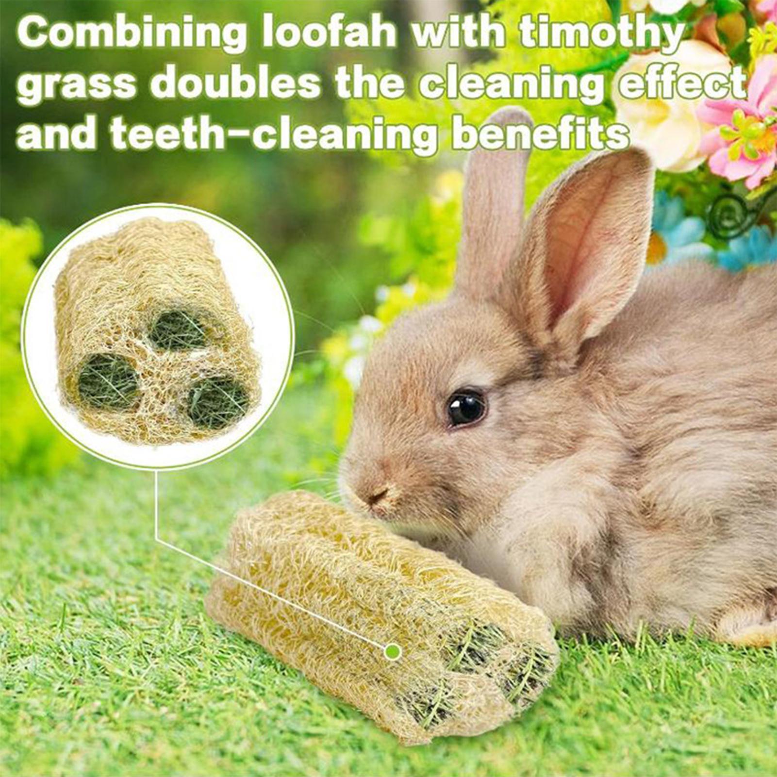Jouets à mâcher pour lapins, 4 - Pet Supplies Pet Shop avis et prix