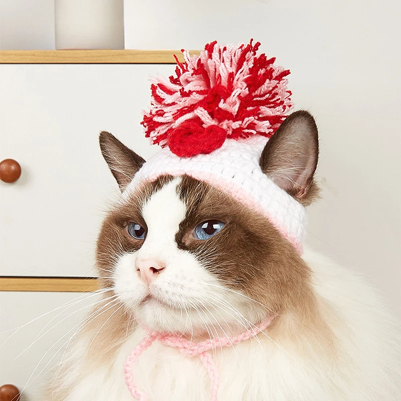 Chapeau tricoté pour animaux d - Pet Supplies In Amazon avis et prix