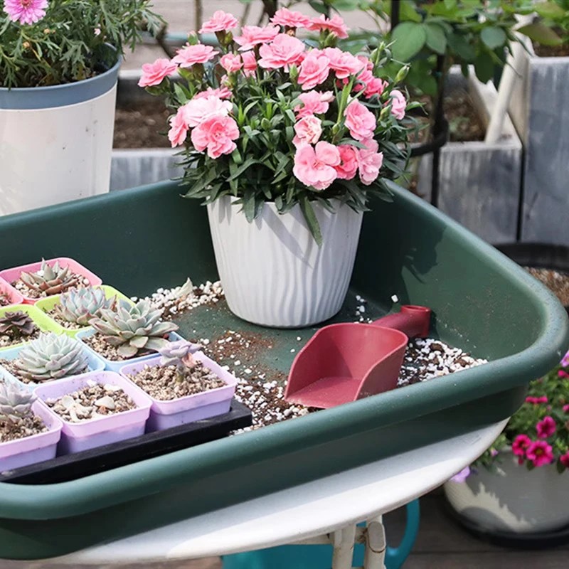 Jardinières polyvalentes pour  - Pet Supplies In avis et prix