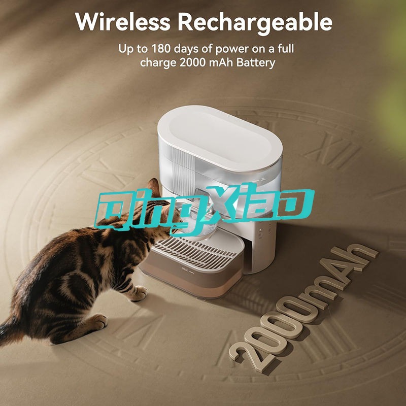 Distributeur d'eau automatique - Pet Supplies In avis et prix