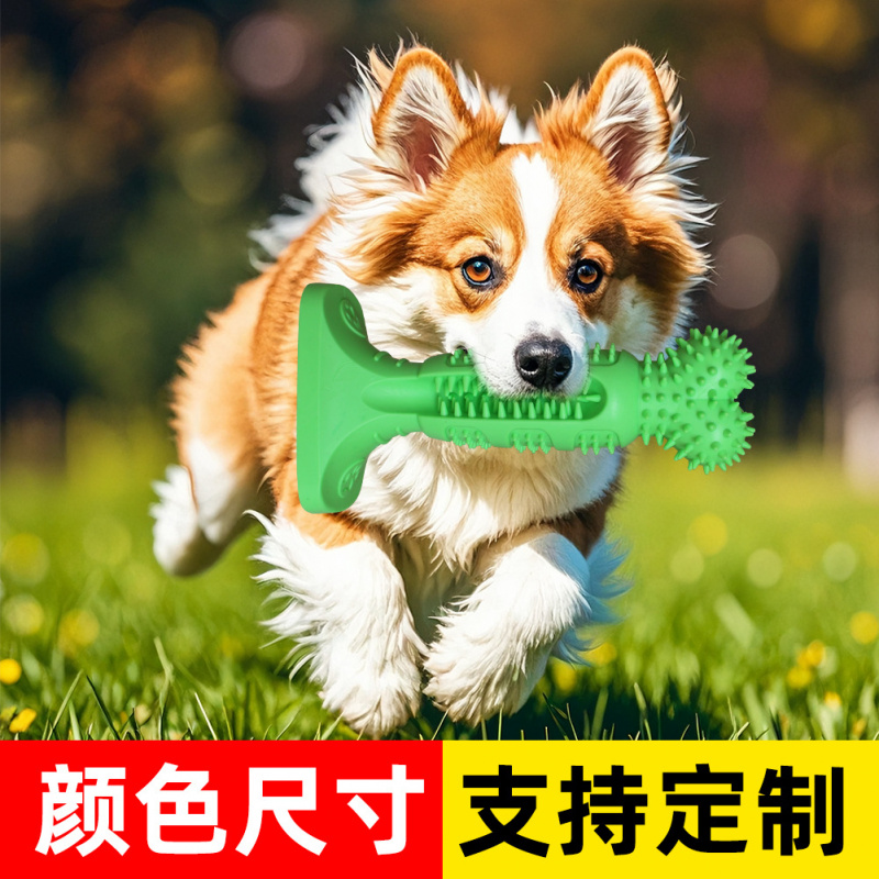 Nouveau best-seller Amazon : b - Pet Supplies In Amazon avis et prix
