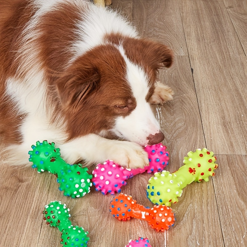 Jouets pour chiens de grande t - Pet Supplies Pet Shop avis et prix