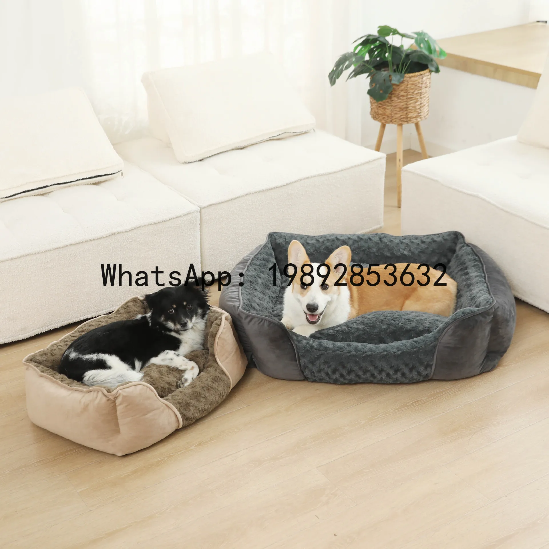 X niche pour chat, chenil semi - Pet X Supplies & Tack Howell Mi avis et prix