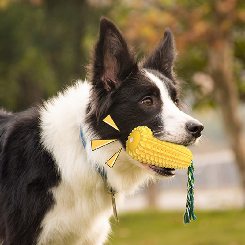 Fournitures pour animaux de co - Pet Supplies In Amazon avis et prix