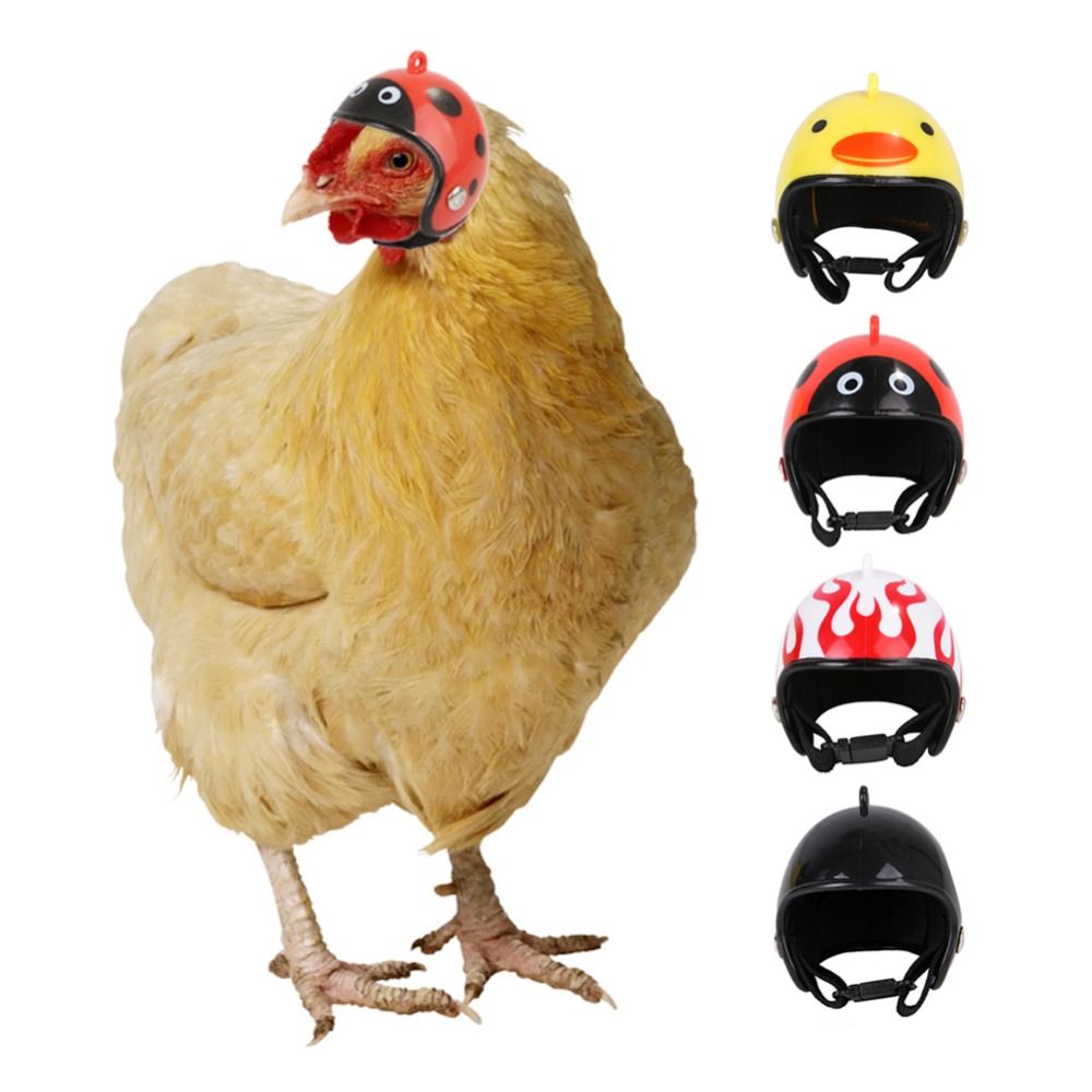 Accessoires pour animaux de co - Pet X Supplies & Tack Howell Mi avis et prix