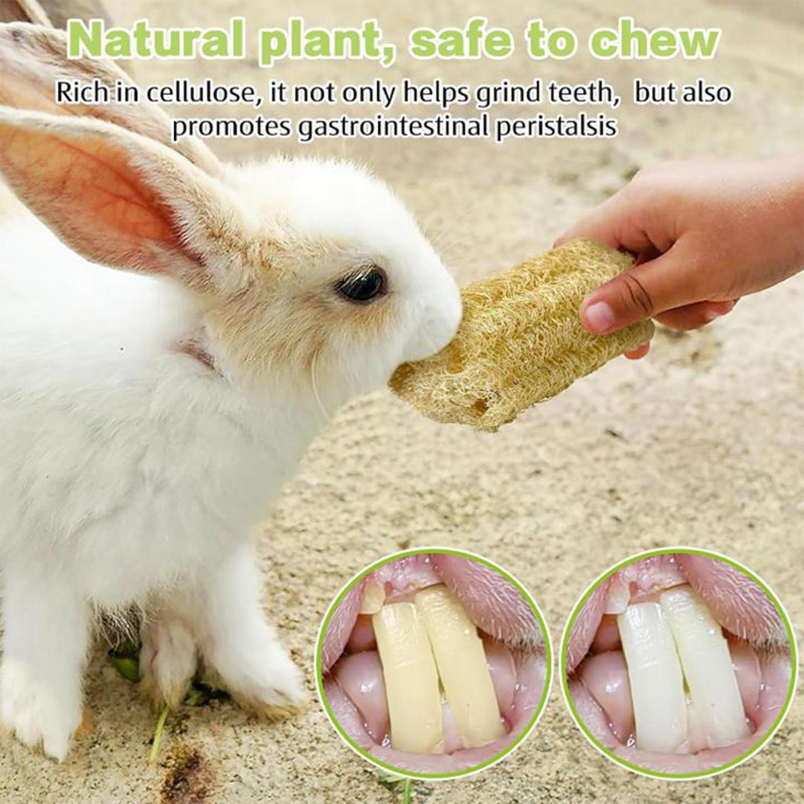 Jouets à mâcher pour lapins, 4 - Pet Supplies Pet Shop avis et prix