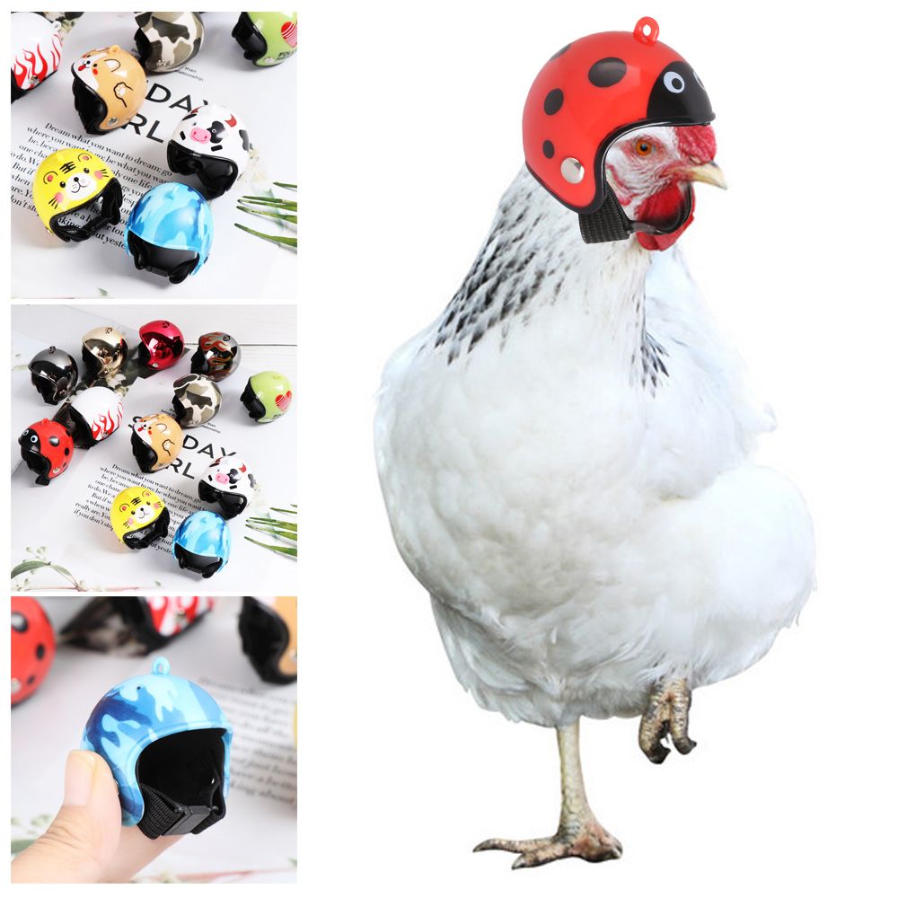 Casque de protection amusant p - Pet X Supplies & Tack Howell Mi avis et prix