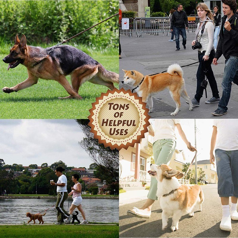 Benepaw – laisse en cuir de va - Pet Supplies Pet Shop avis et prix