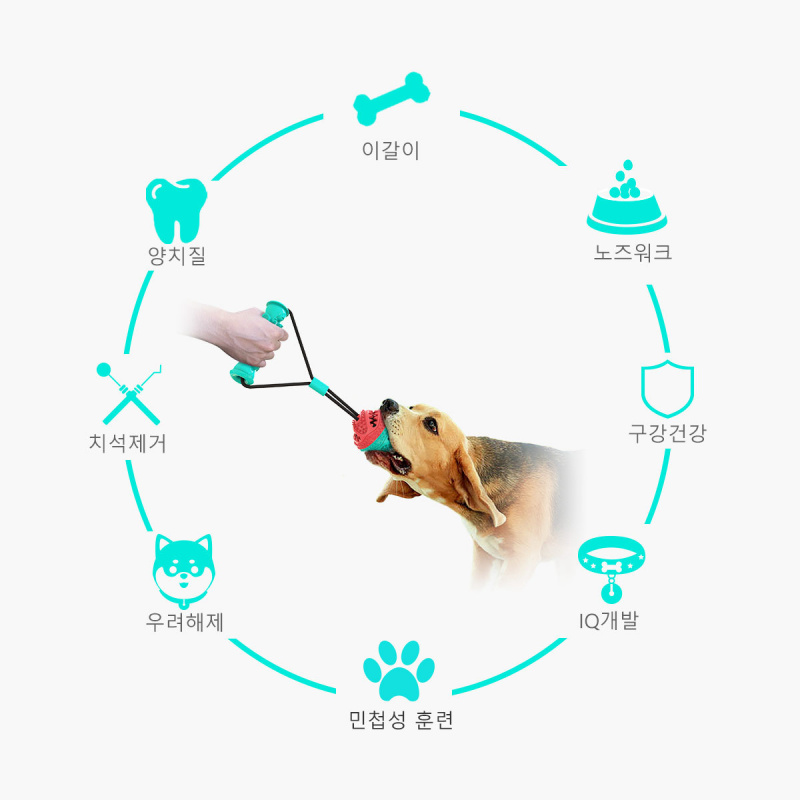 Nouvel ensemble d'accessoires  - Pet Supplies In Amazon avis et prix